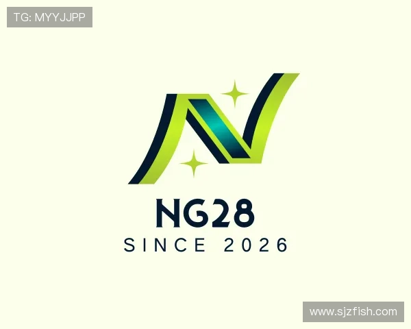 解读NG28